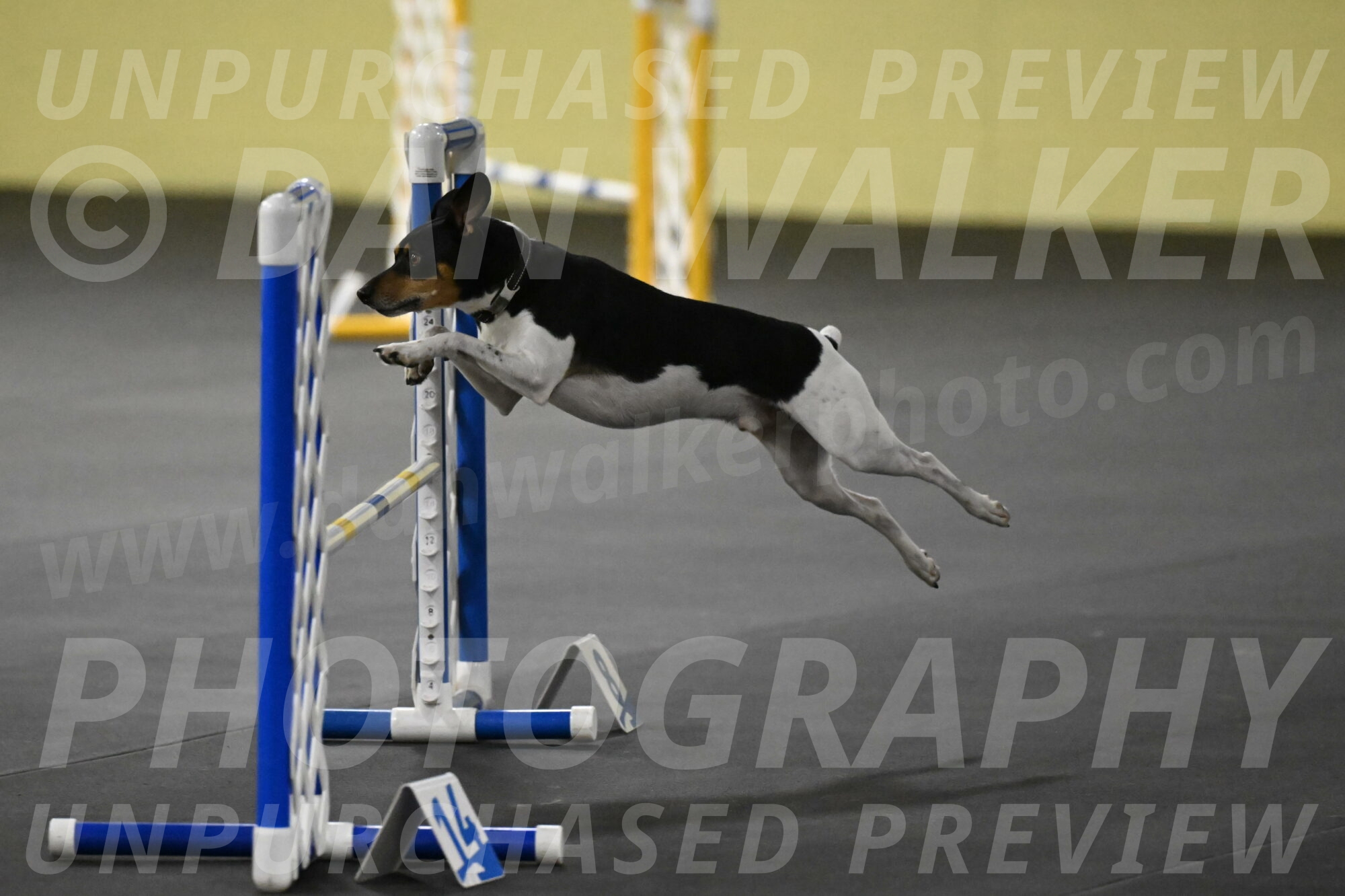 Denver-McGinty-02040