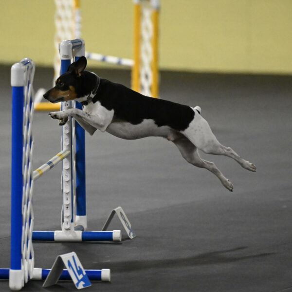 Denver-McGinty-02040