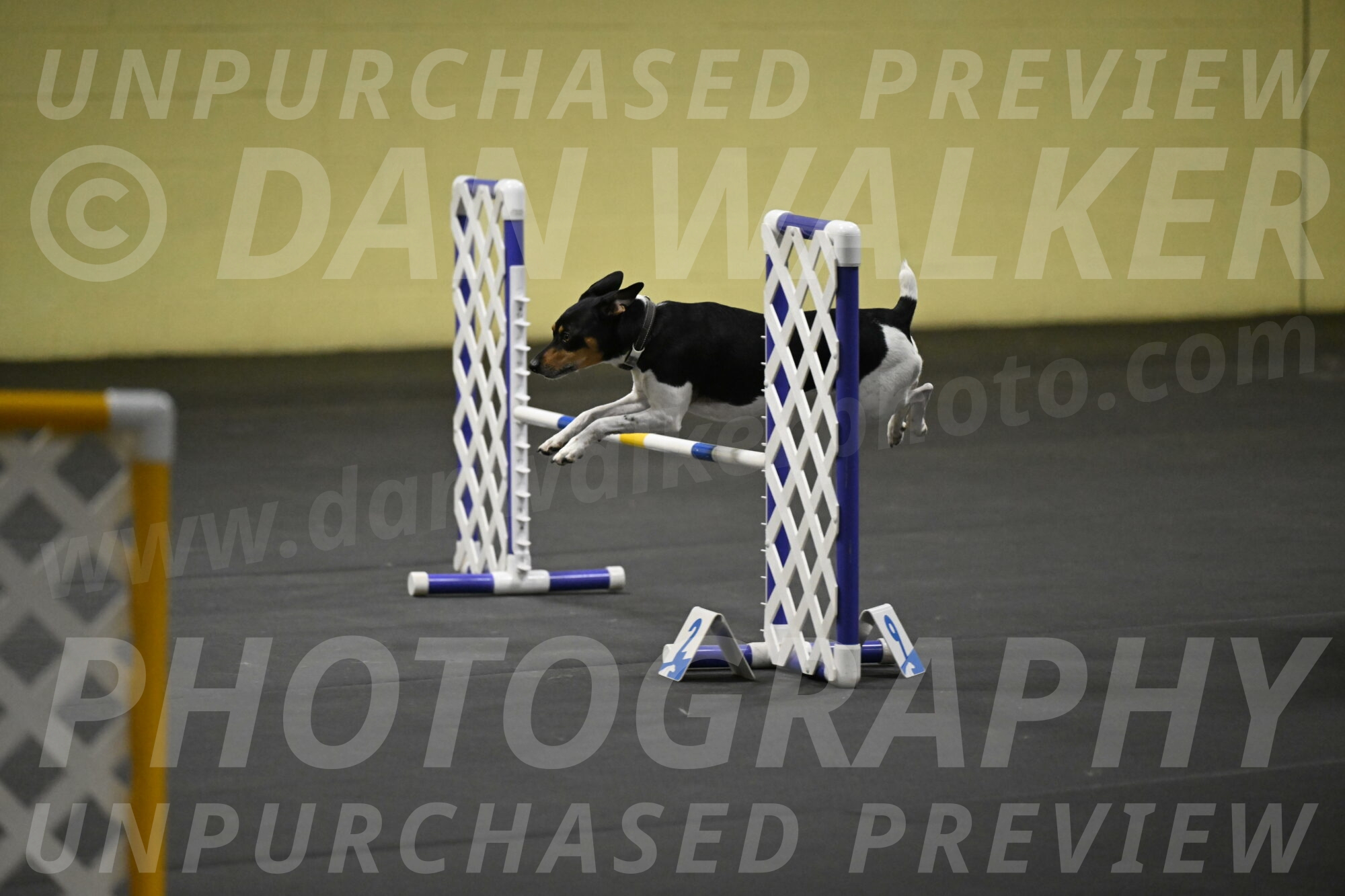 Denver-McGinty-02042