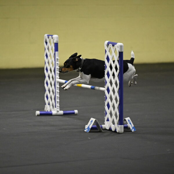 Denver-McGinty-02042