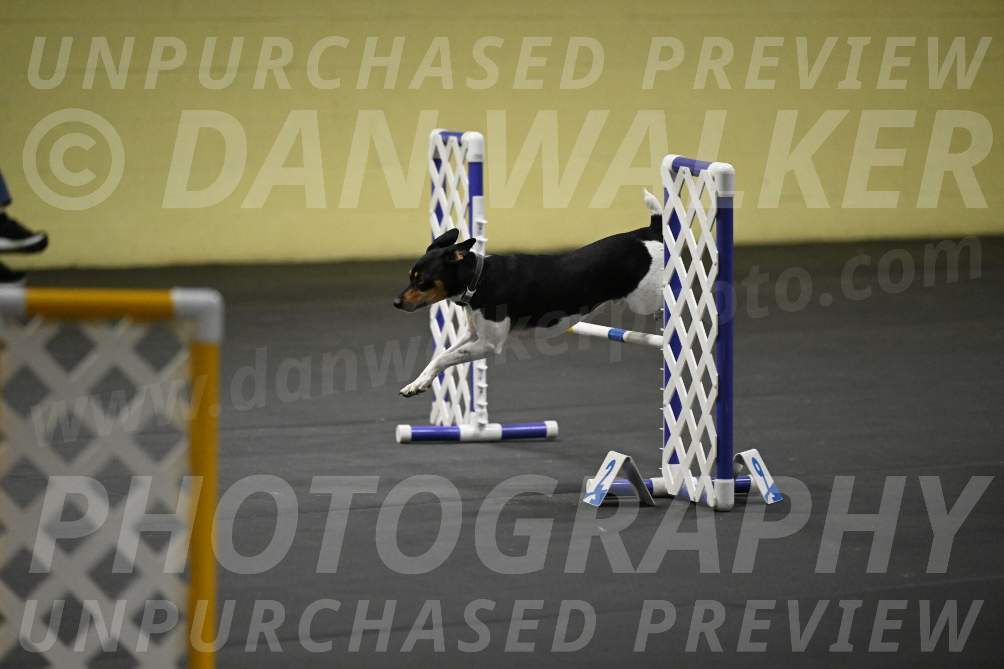 Denver-McGinty-02043