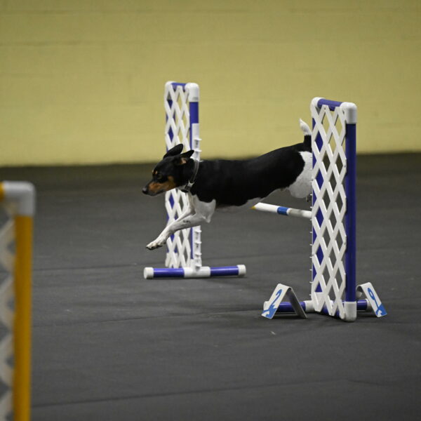 Denver-McGinty-02043