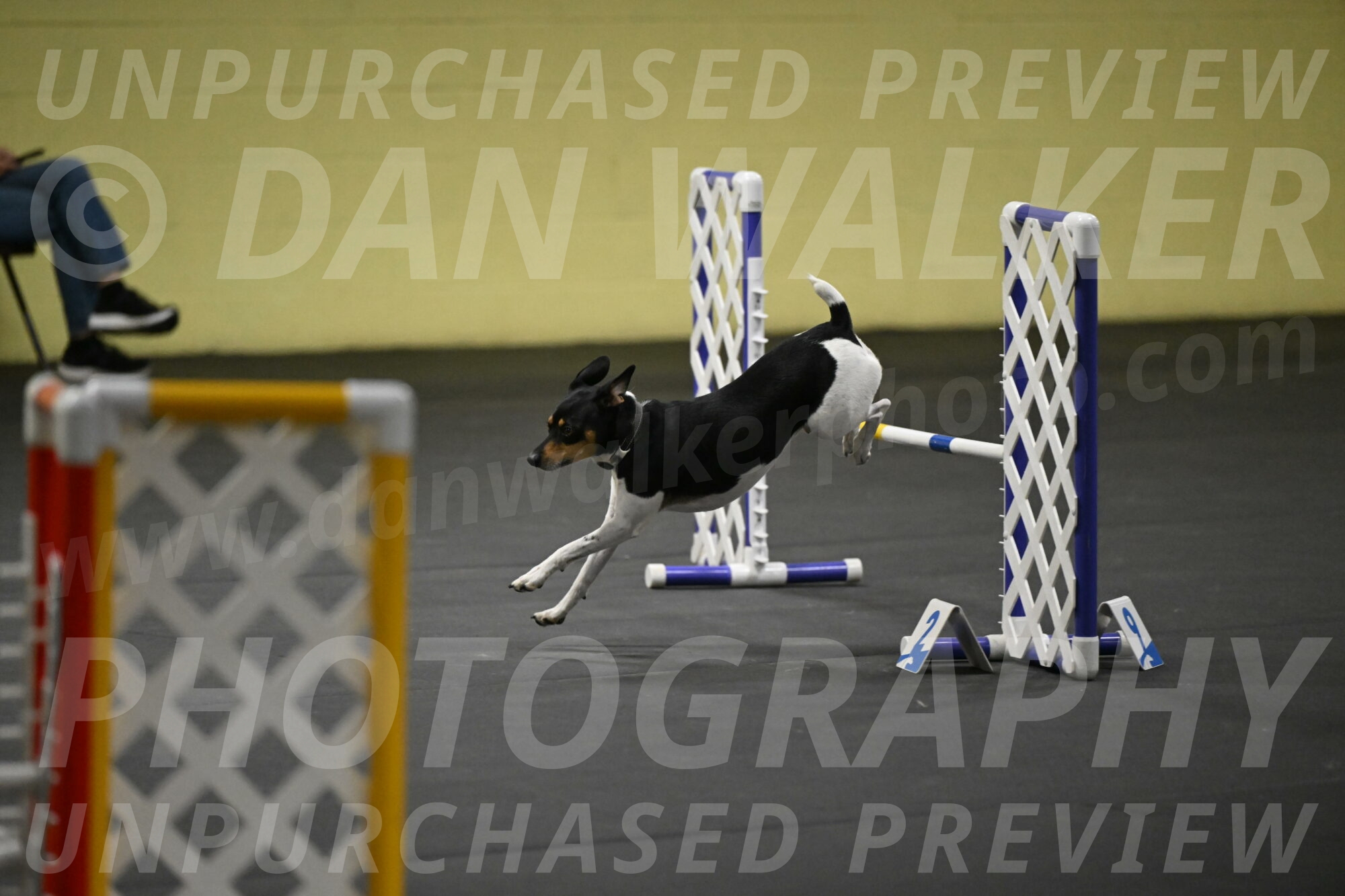 Denver-McGinty-02044