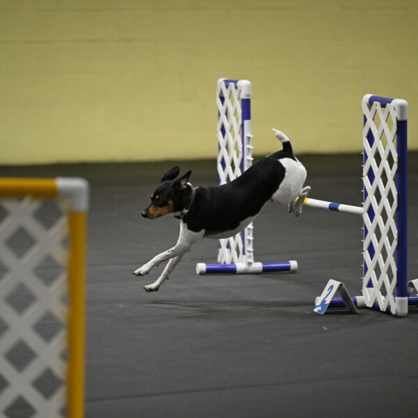 Denver-McGinty-02044