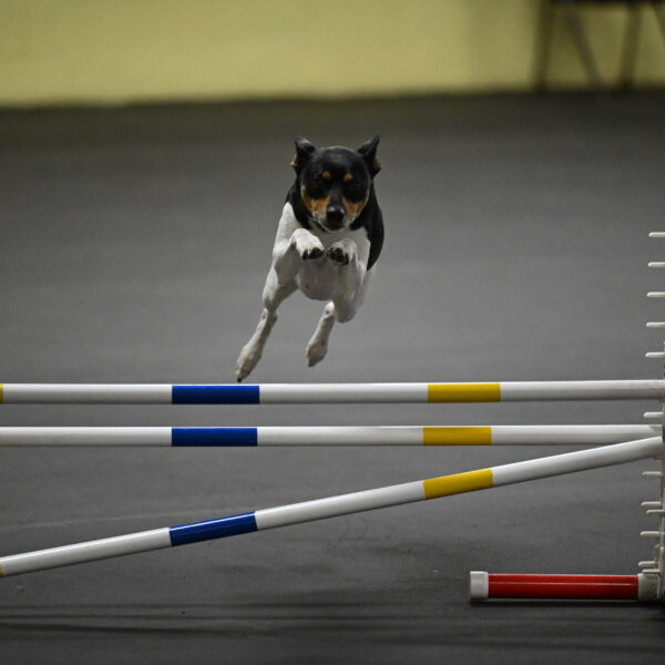 Denver-McGinty-02045