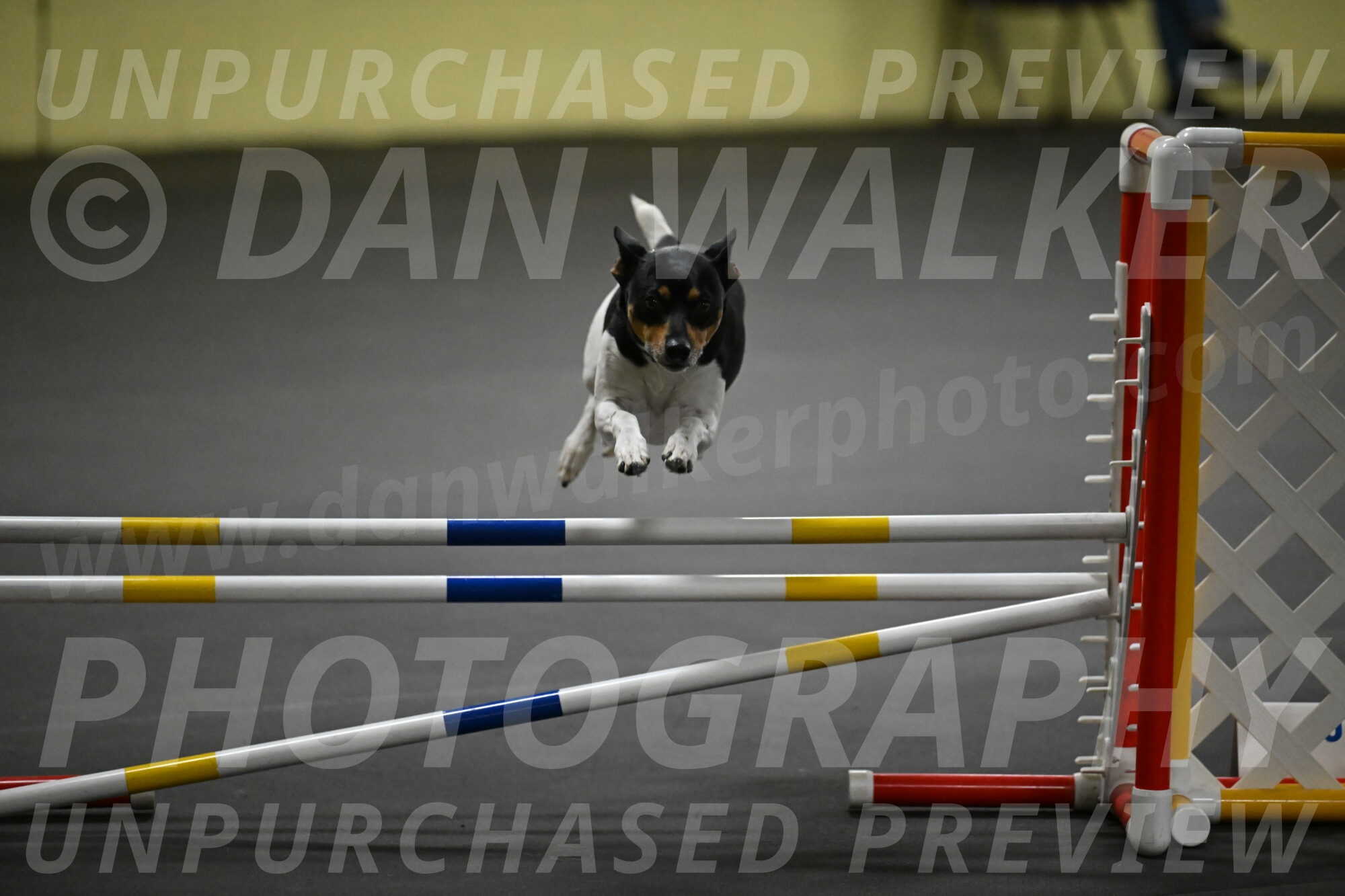 Denver-McGinty-02046