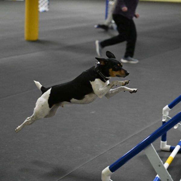 Denver-McGinty-02050