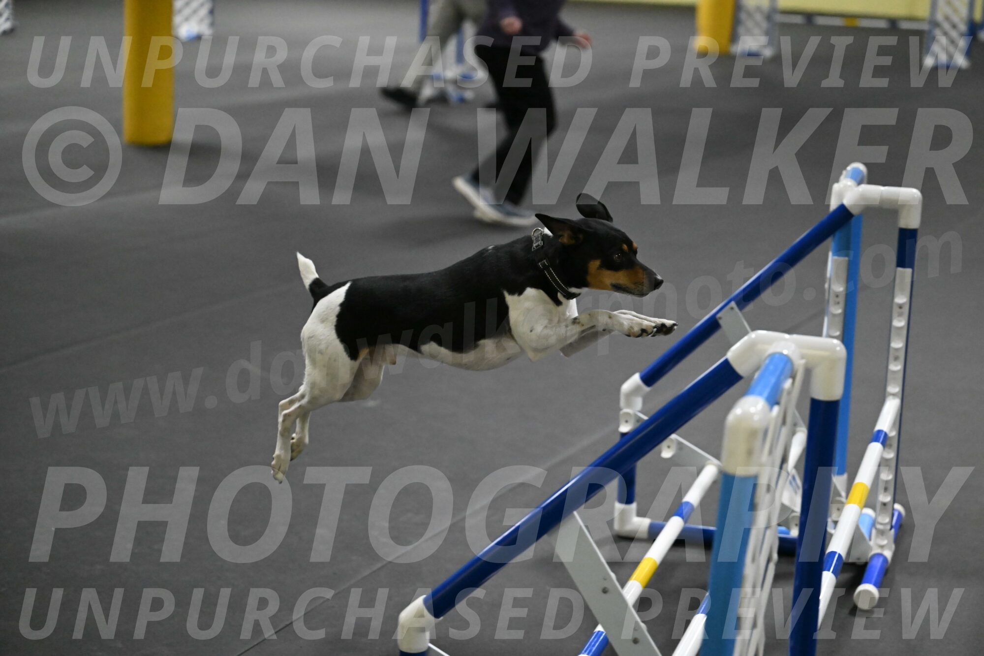 Denver-McGinty-02051