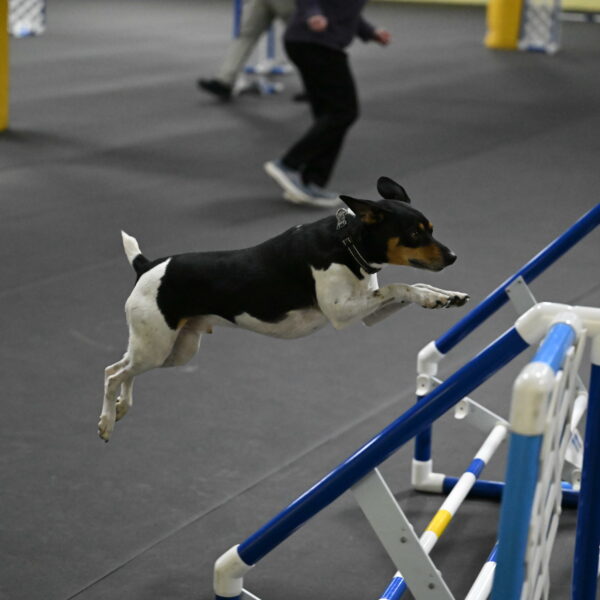 Denver-McGinty-02051