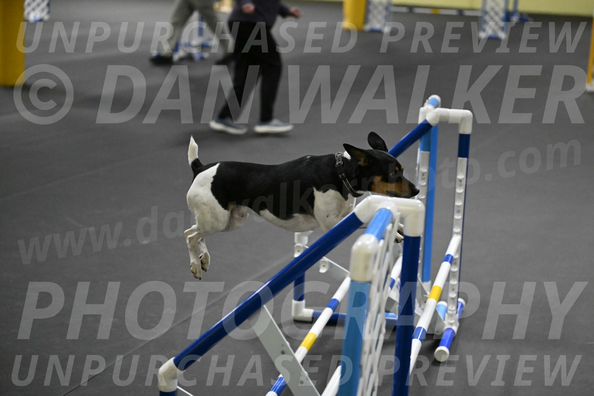 Denver-McGinty-02052