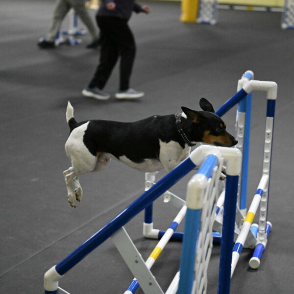 Denver-McGinty-02052