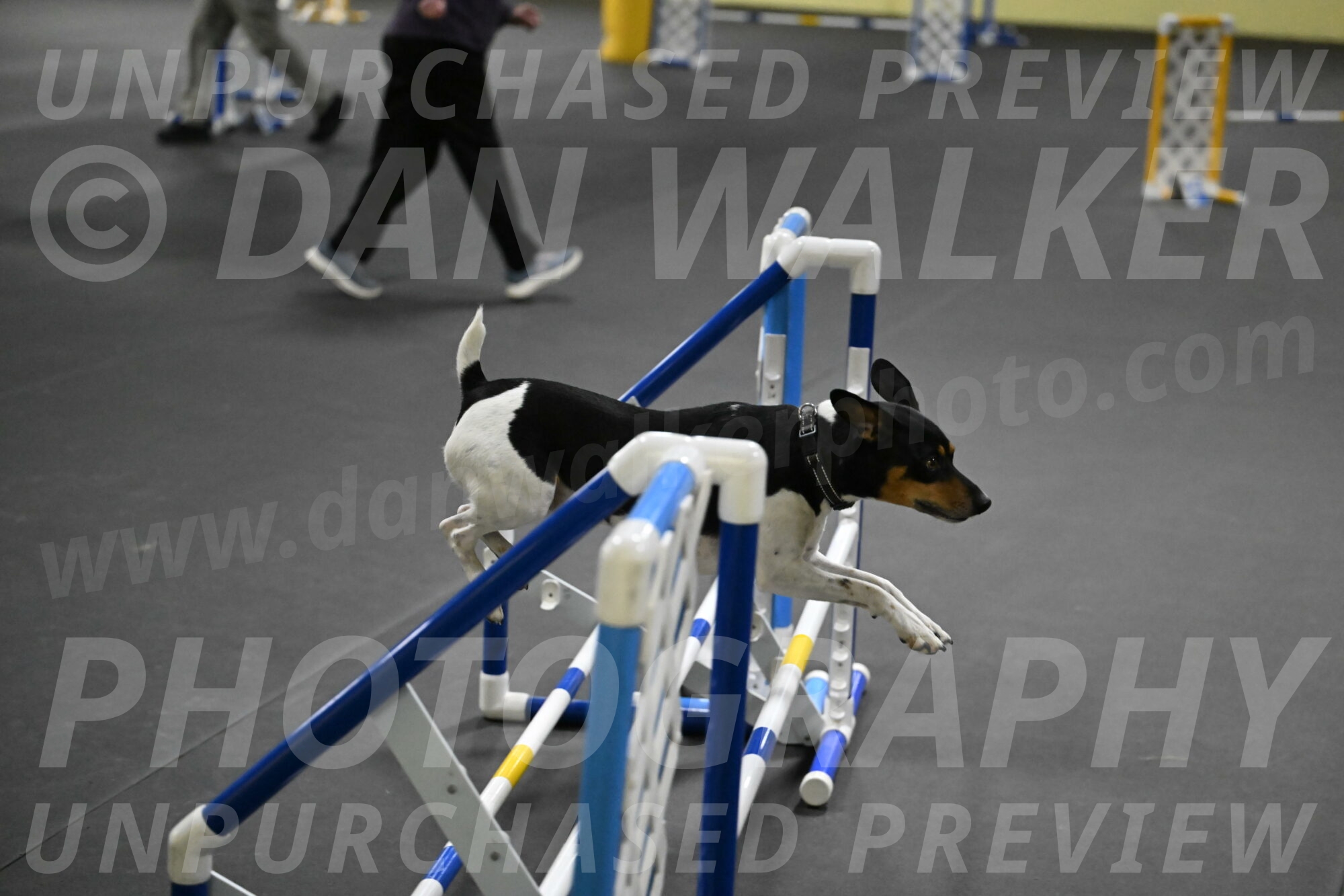 Denver-McGinty-02053