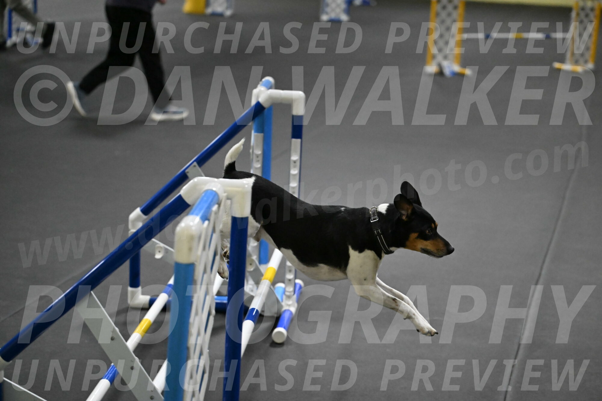 Denver-McGinty-02054