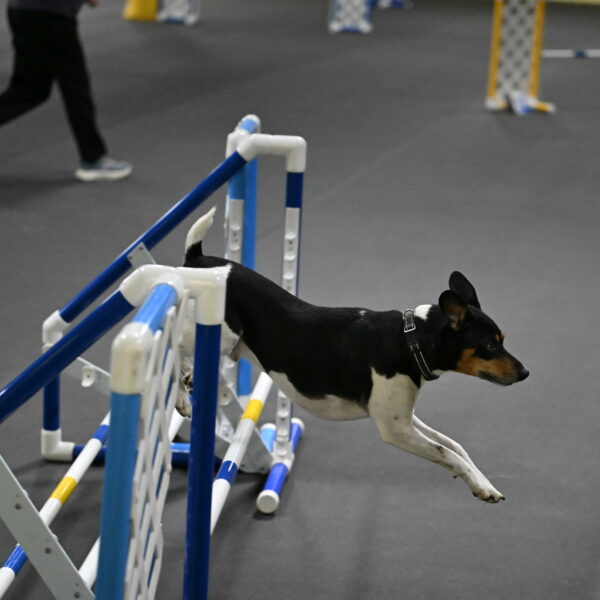 Denver-McGinty-02054