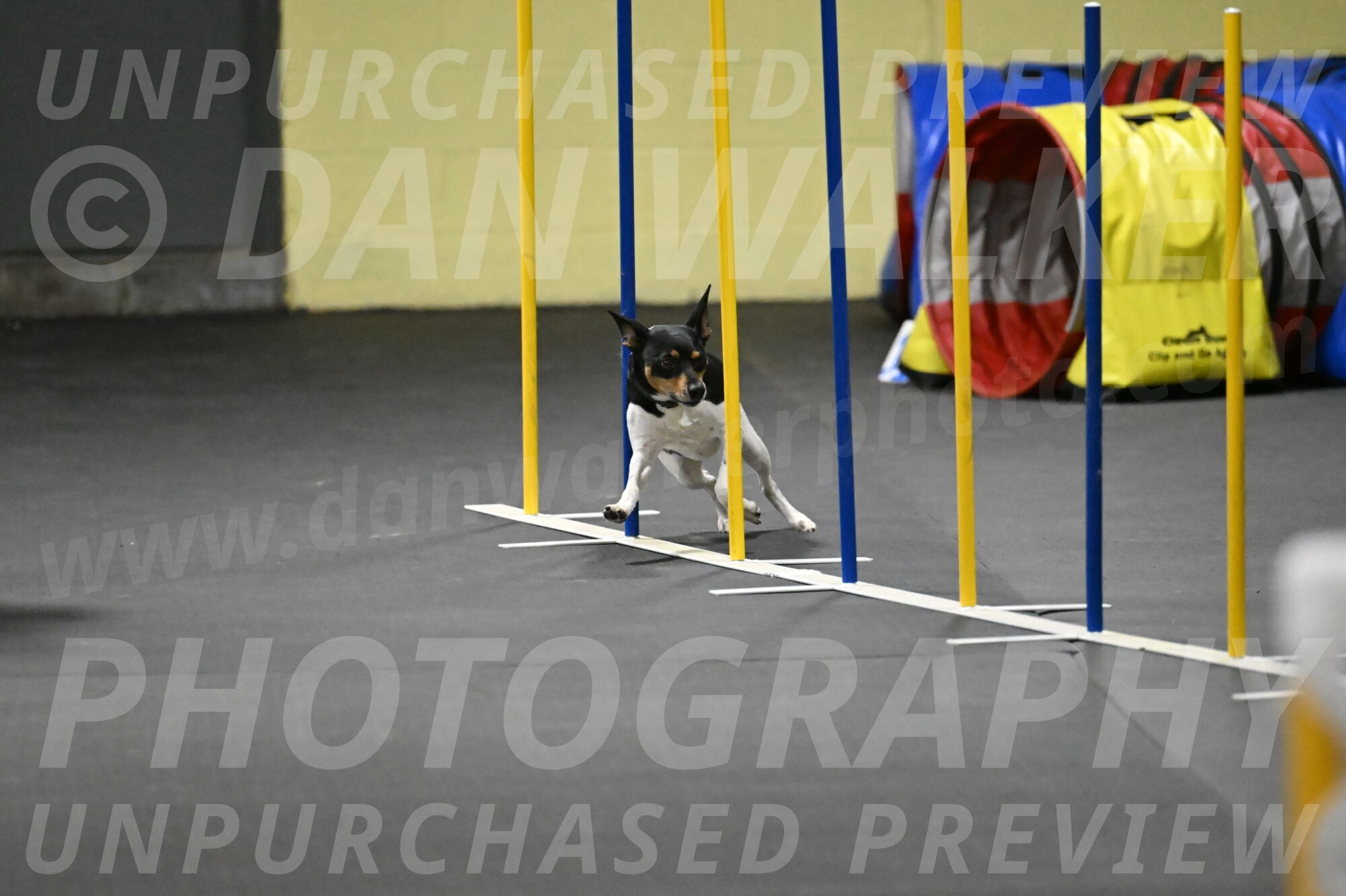 Denver-McGinty-02057