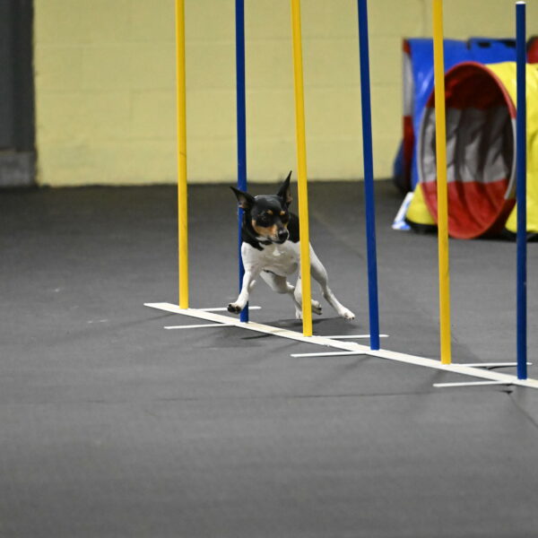 Denver-McGinty-02057