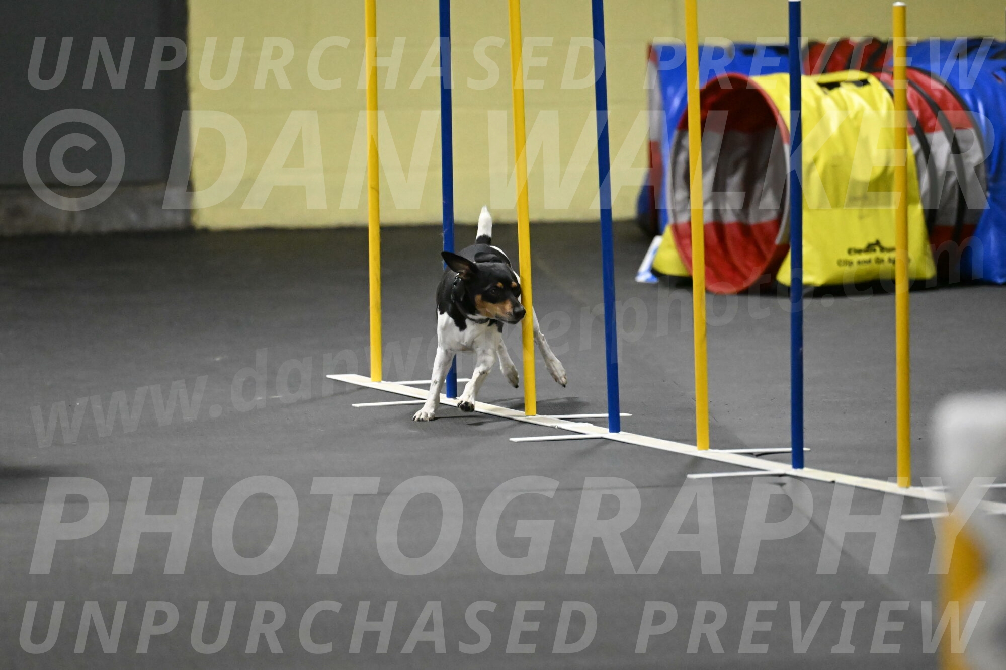 Denver-McGinty-02058