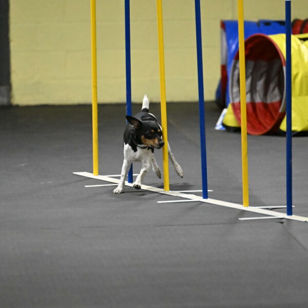 Denver-McGinty-02058