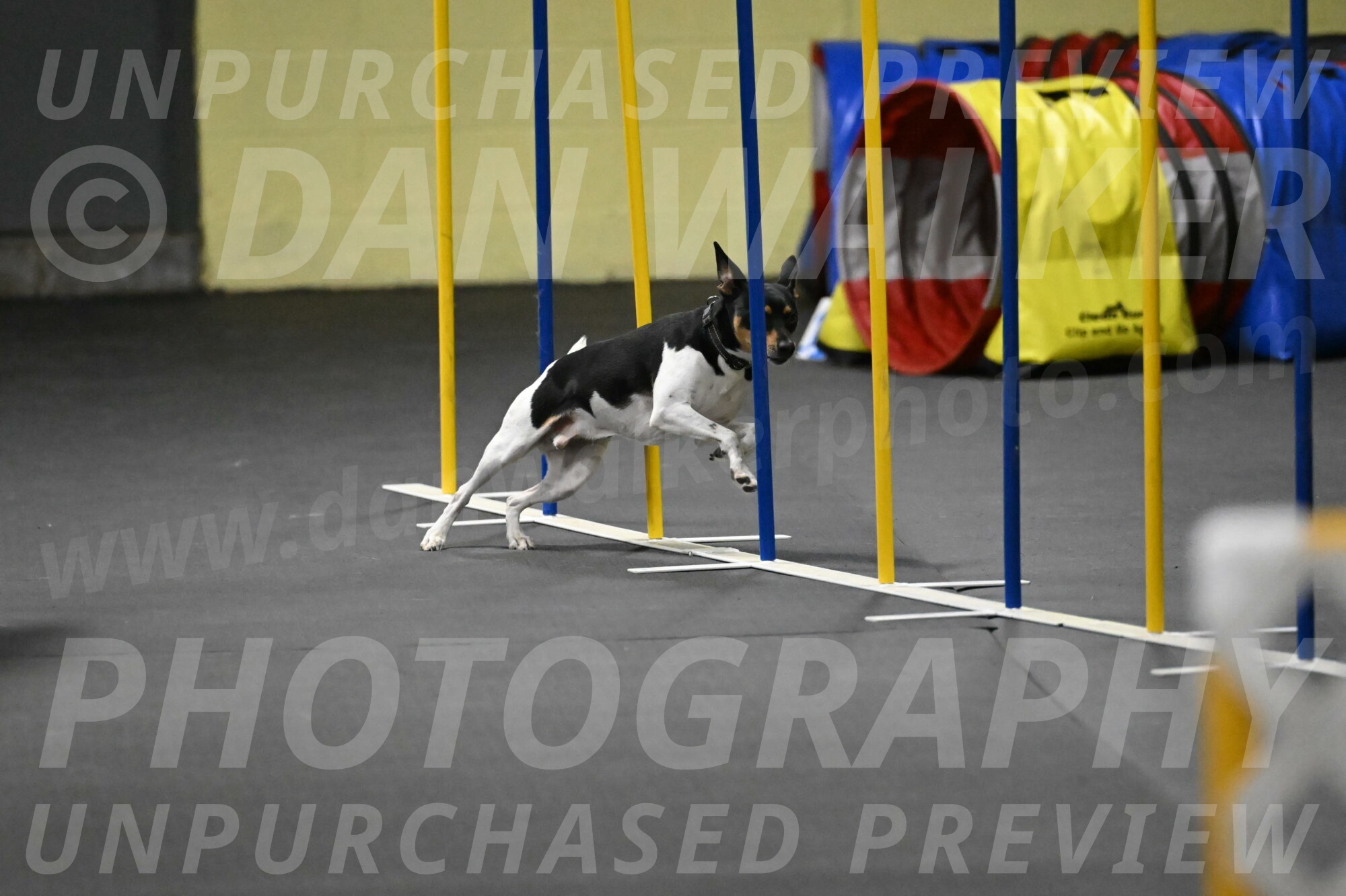 Denver-McGinty-02061