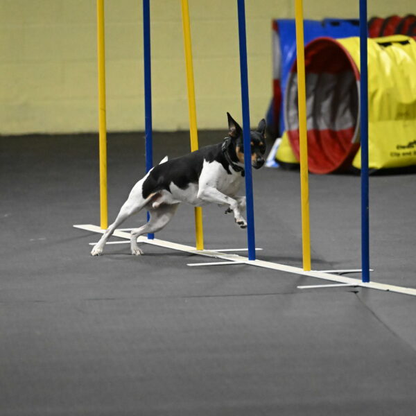 Denver-McGinty-02061