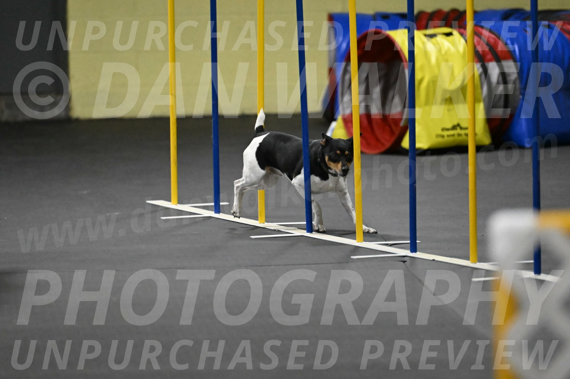 Denver-McGinty-02062