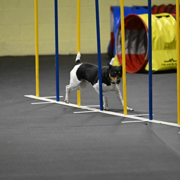 Denver-McGinty-02062