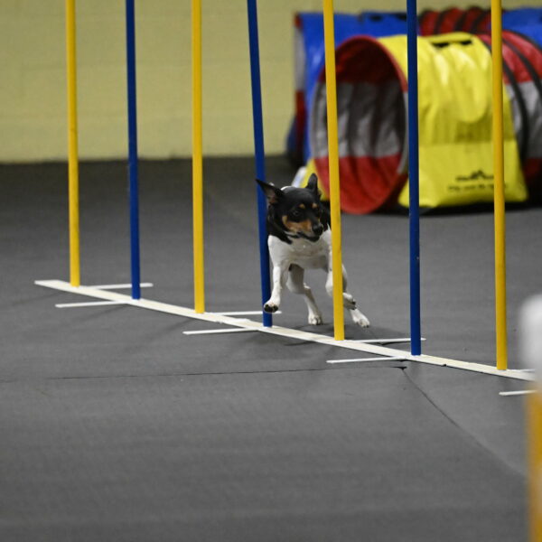 Denver-McGinty-02064