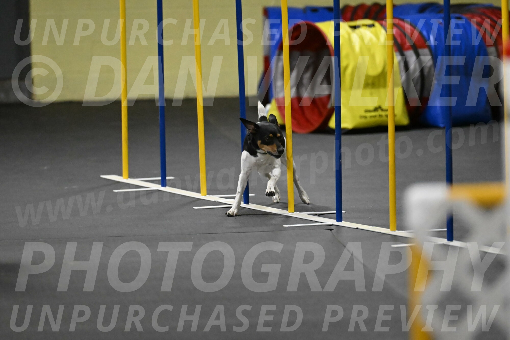 Denver-McGinty-02065