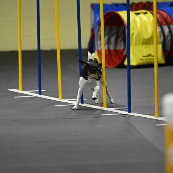 Denver-McGinty-02065