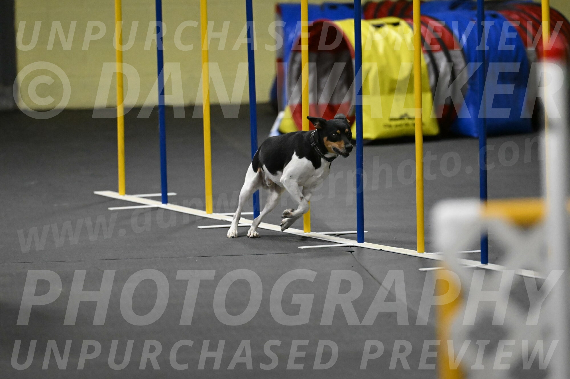 Denver-McGinty-02067