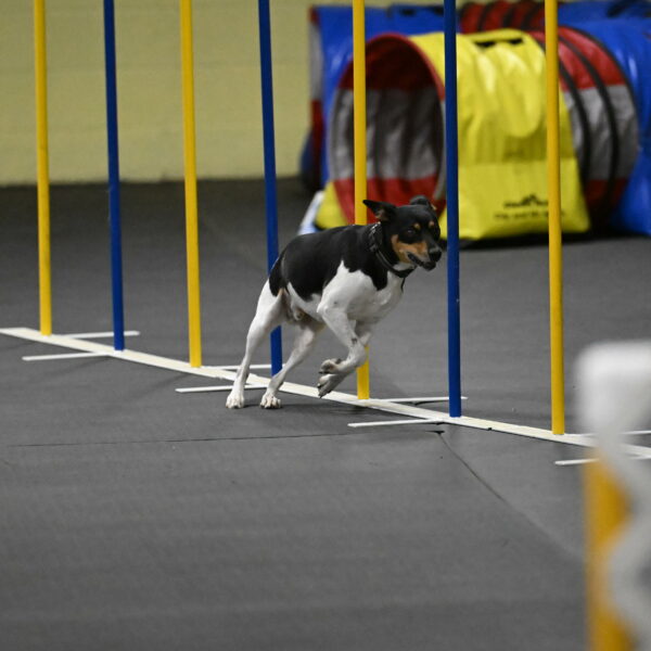 Denver-McGinty-02067