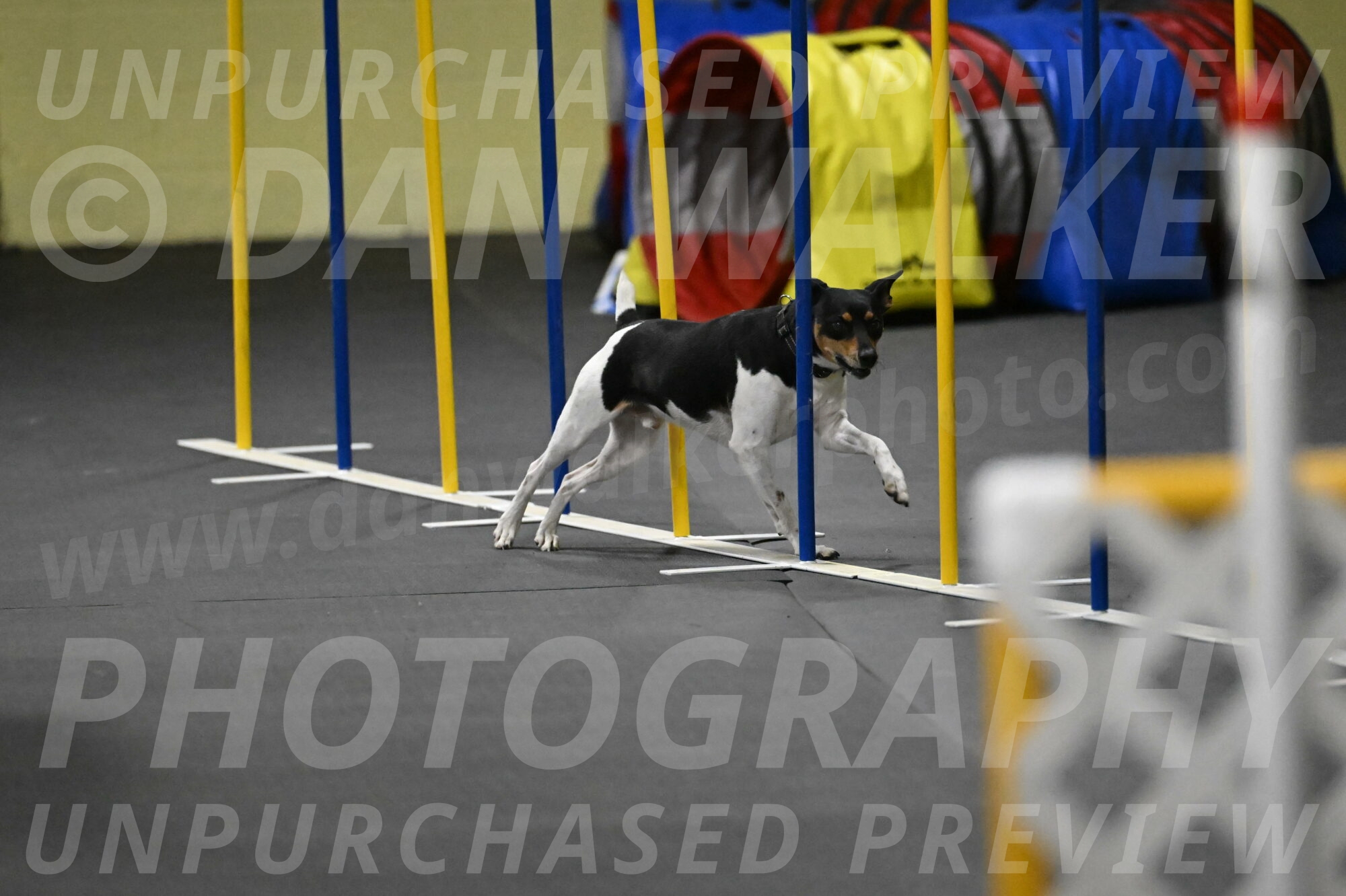 Denver-McGinty-02068