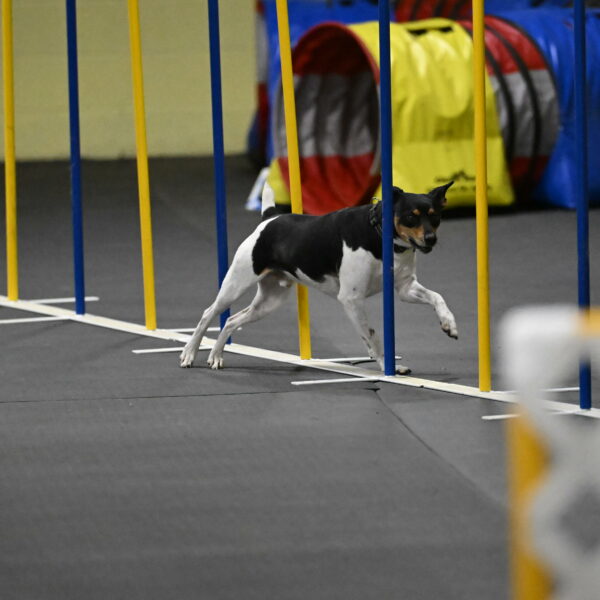 Denver-McGinty-02068