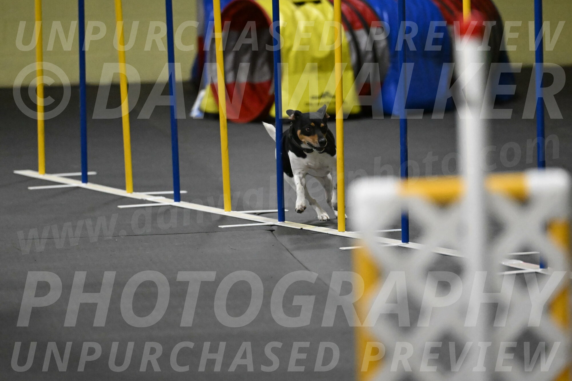 Denver-McGinty-02071