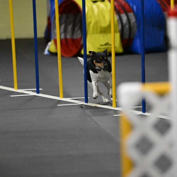 Denver-McGinty-02071