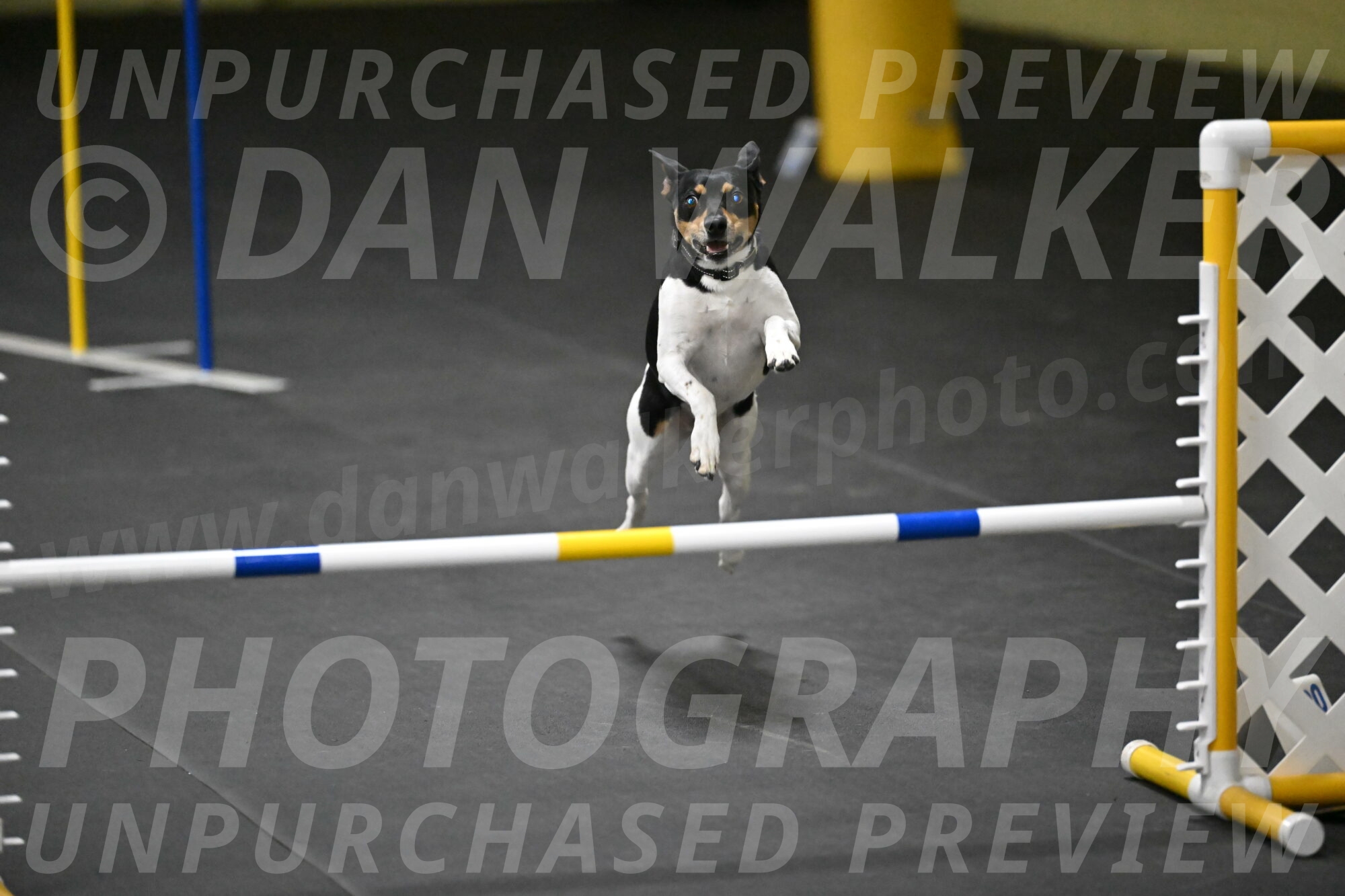 Denver-McGinty-02072