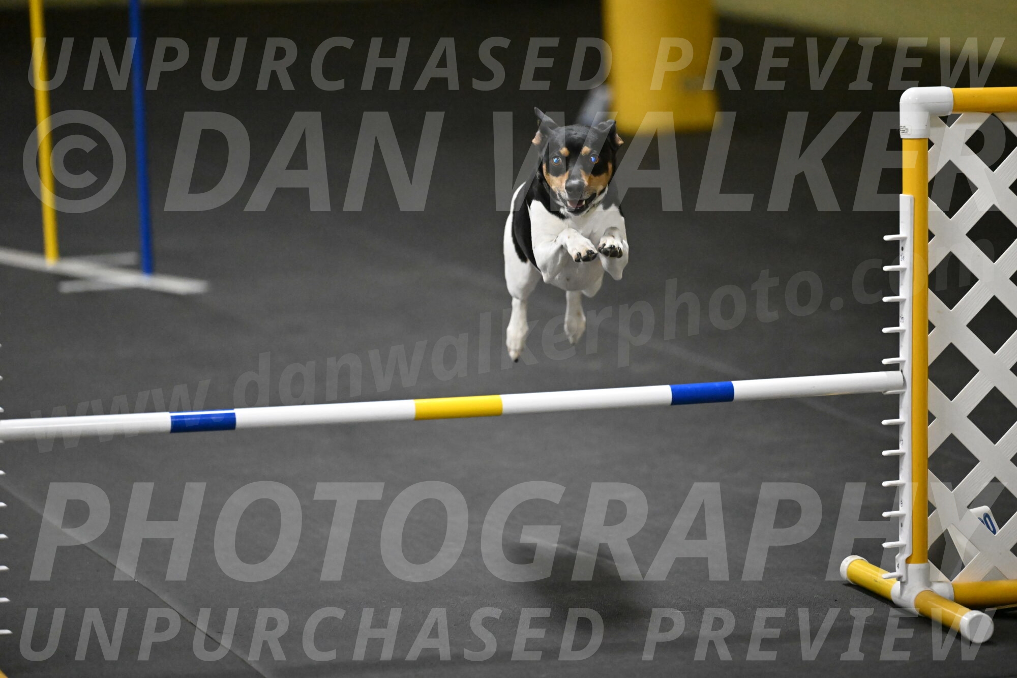 Denver-McGinty-02074