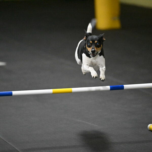 Denver-McGinty-02075