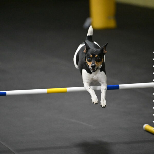 Denver-McGinty-02076