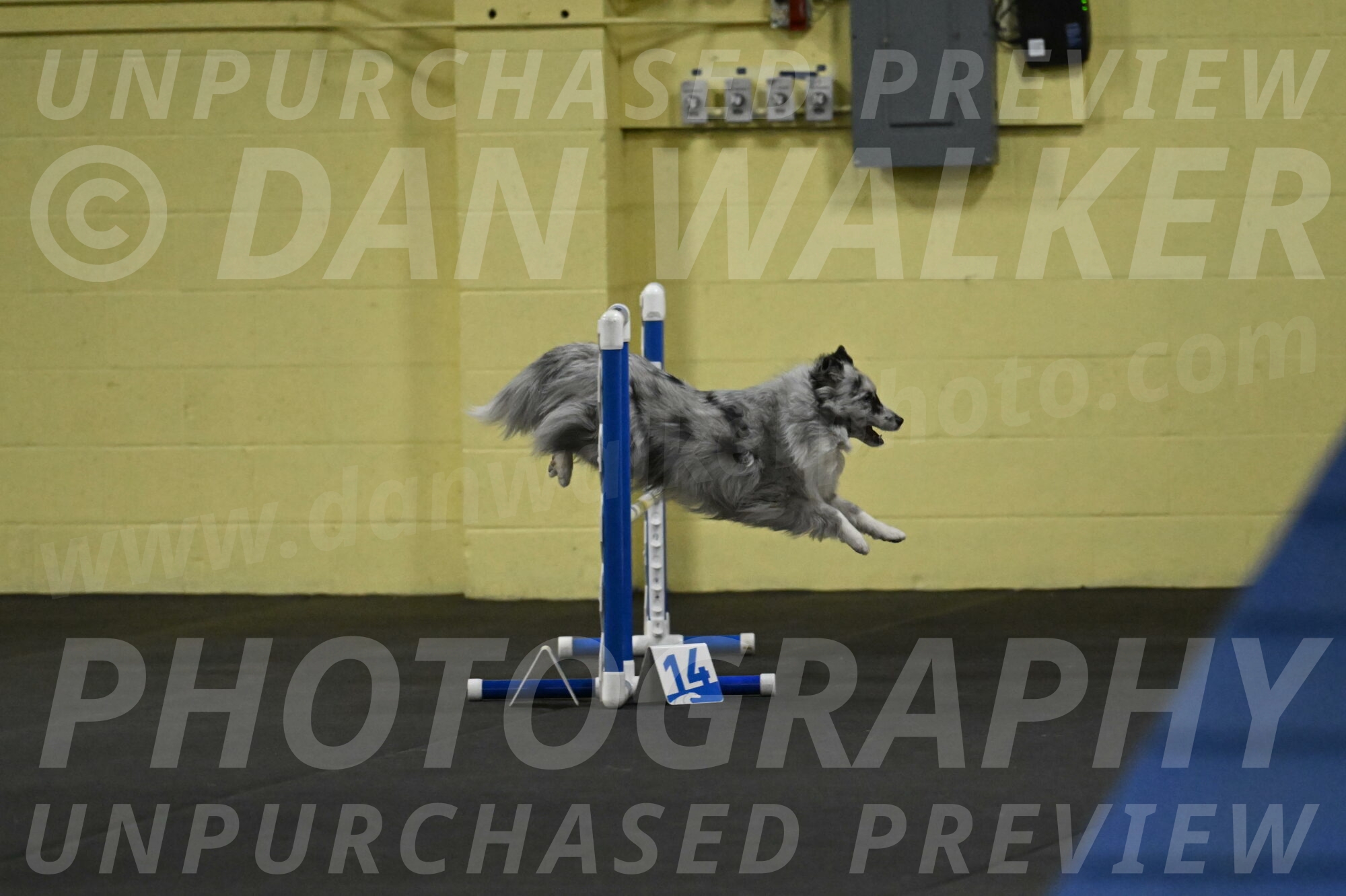 Dulci-Weinrich-08289