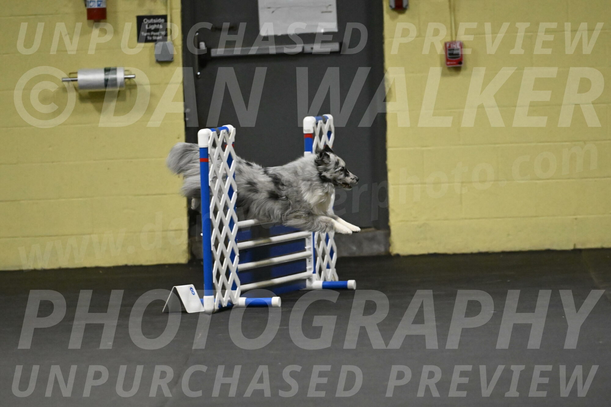 Dulci-Weinrich-08293