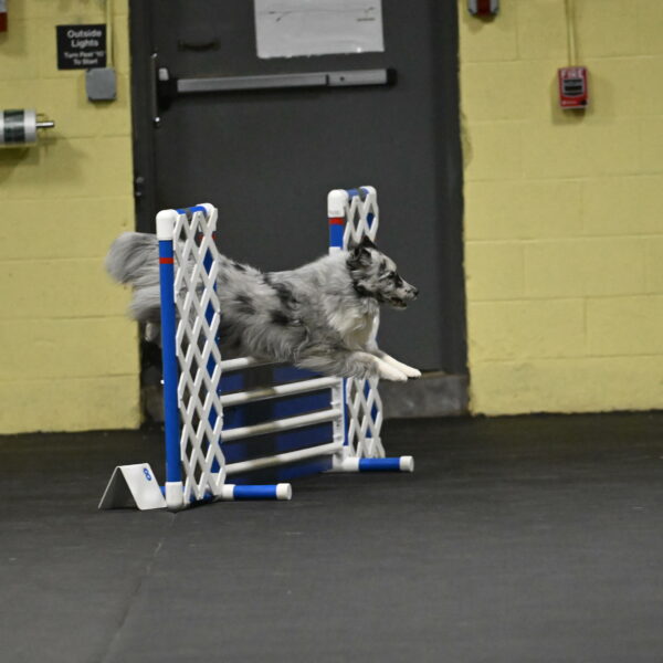 Dulci-Weinrich-08293