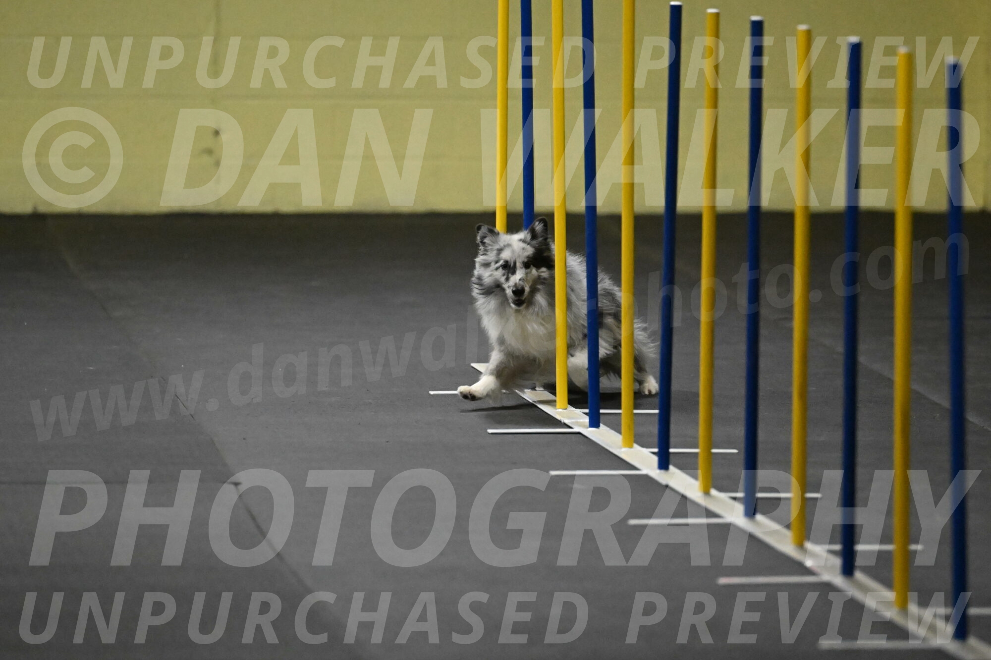 Dulci-Weinrich-08298