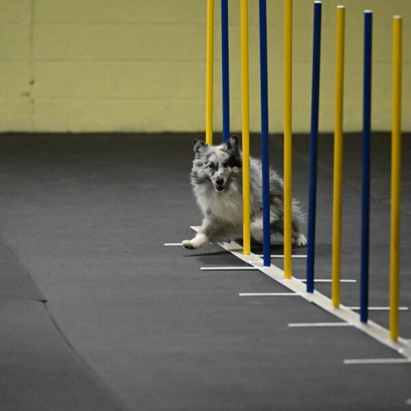 Dulci-Weinrich-08298