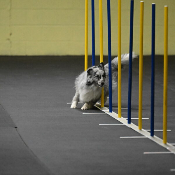 Dulci-Weinrich-08299