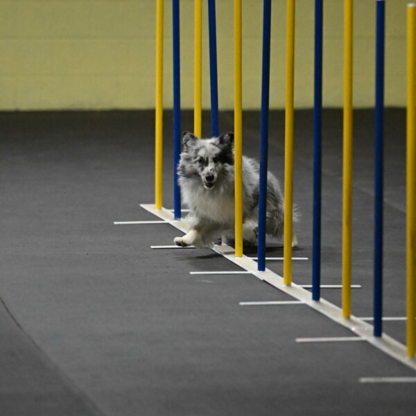 Dulci-Weinrich-08304