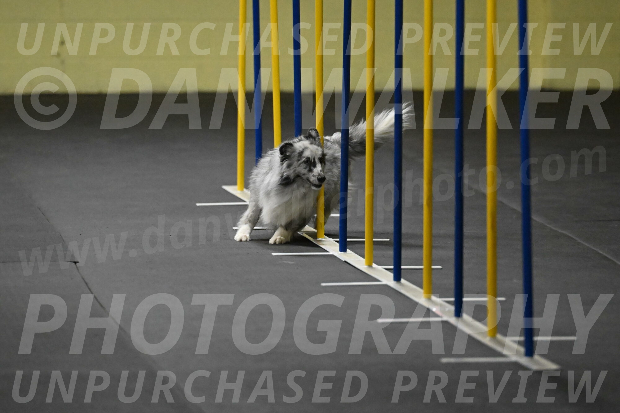 Dulci-Weinrich-08305