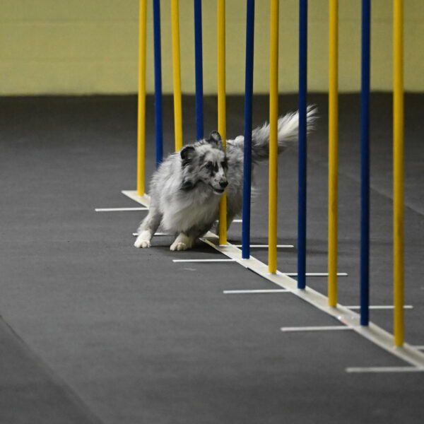 Dulci-Weinrich-08305