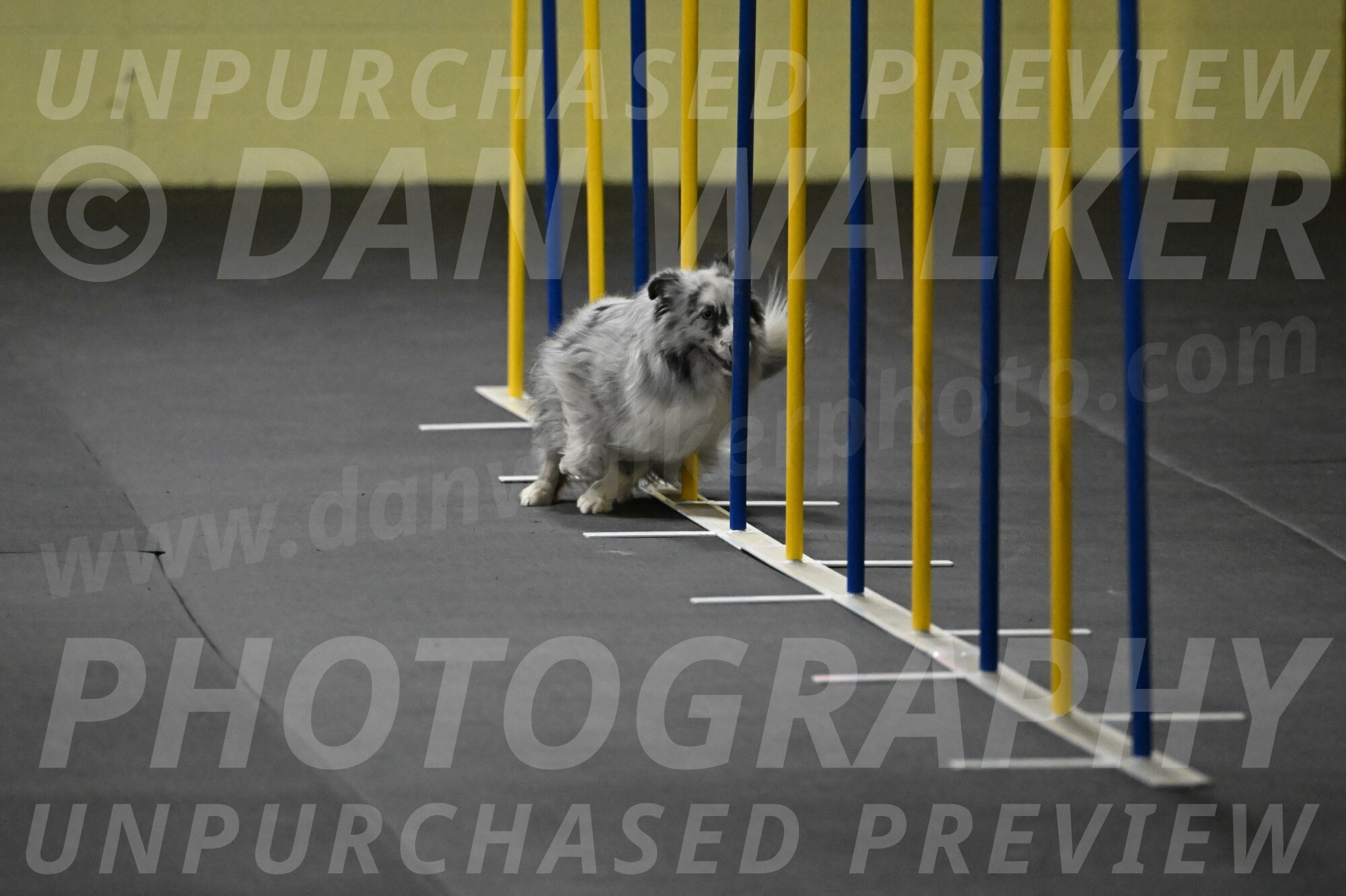 Dulci-Weinrich-08306