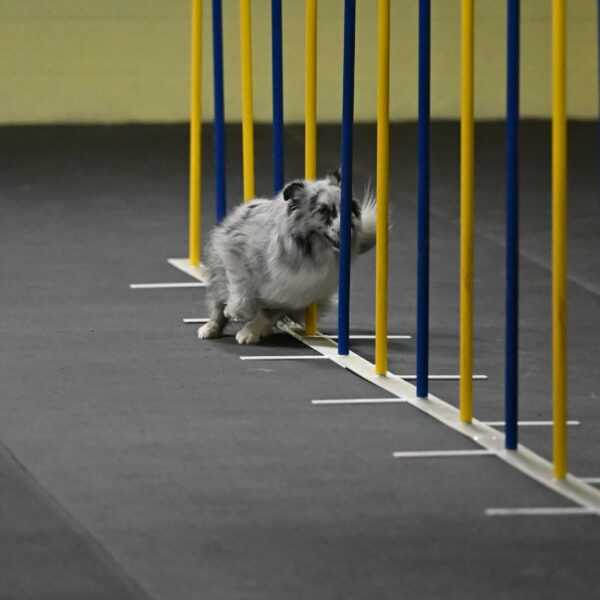 Dulci-Weinrich-08306